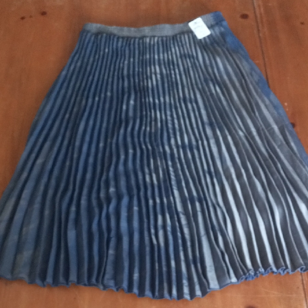 Elegant Pleated Gray And Blue Dyed Skirt OSFM